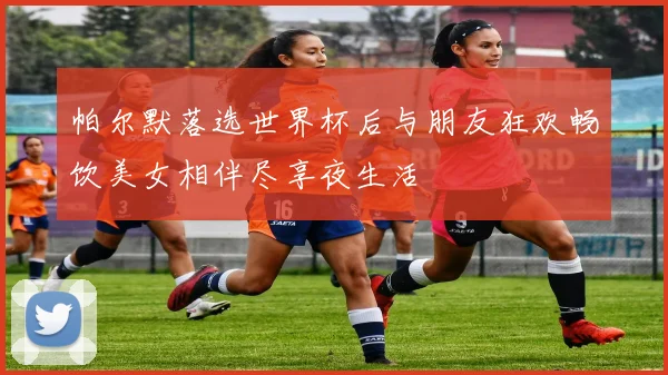 帕尔默落选世界杯后与朋友狂欢畅饮美女相伴尽享夜生活